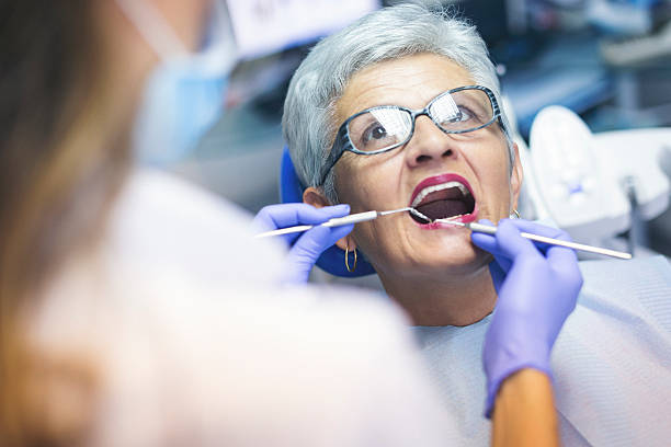 Trusted Groveville, NJ  Holistic Dental Services Experts